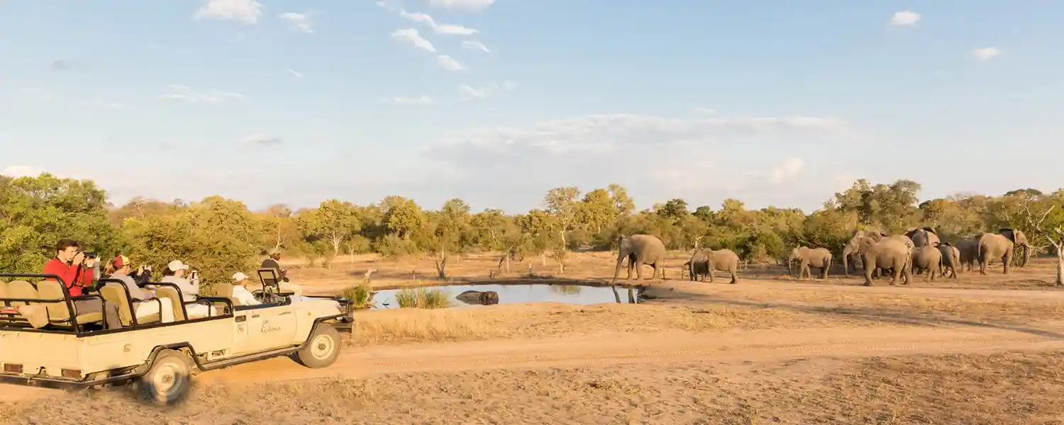 The Kruger Experience-1